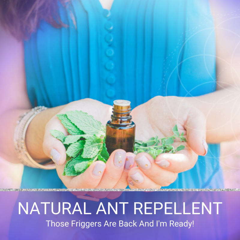 Natural Ant Repellent