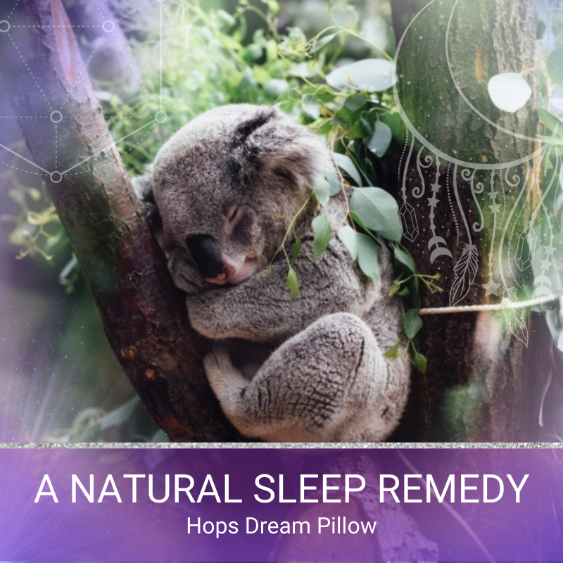 A Natural Sleep Remedy - Hops Dream Pillow