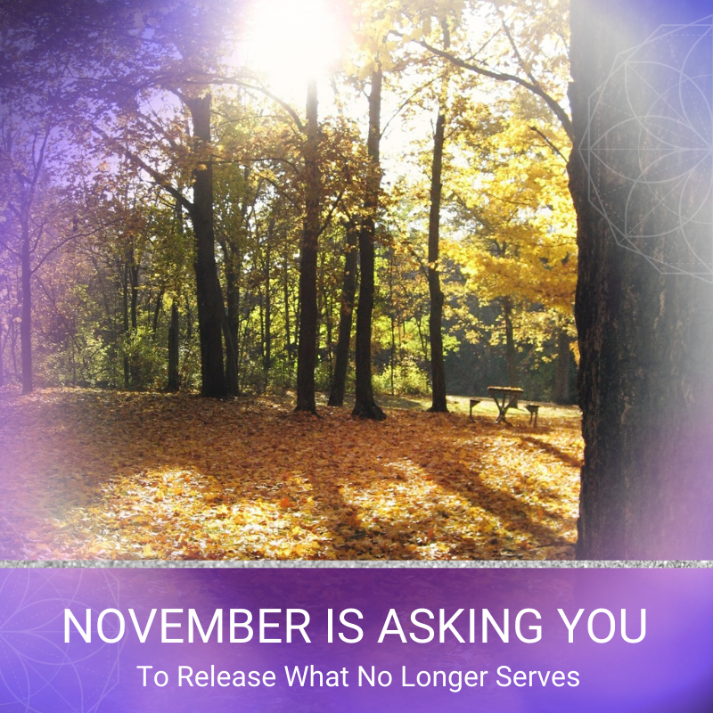November Is Asking You To Release