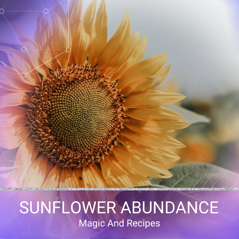 Sunflower Abundance